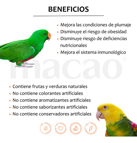 Alimento Macao Loro Amazona Cacatúa, Papilla 1k+ Croqueta 1k