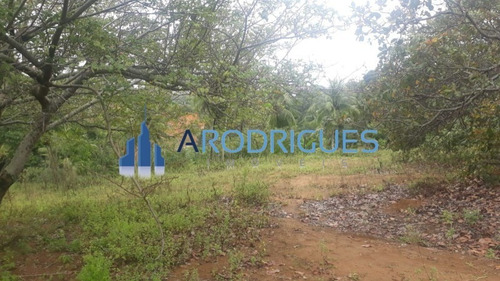 Imagem 11 de 27 de Terreno Em Cajazeiras, Frente De Rua, Fazenda Grande Iii, Salvador-ba, Ótimo Para Mercado, Minha Casa Minha Vida, Etc - Te00094