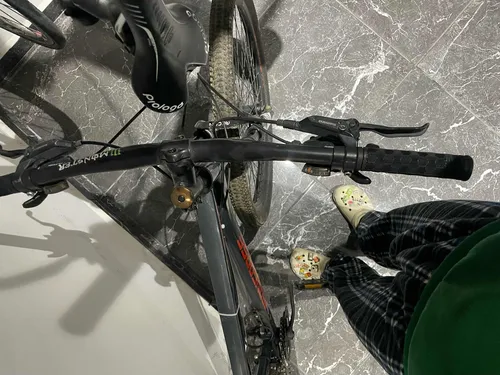Mongoose r29 sales