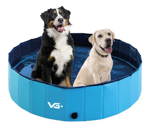 Piscina Pet Animais De Estimação Lisa Azul 160x30 Cm Vg+