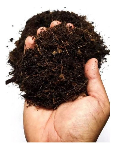 Substrato Terrario Chão De Floresta 12l Premium - Tudococo