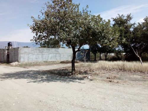 Imagen 7 de 8 de Terreno En Venta Las Flechas