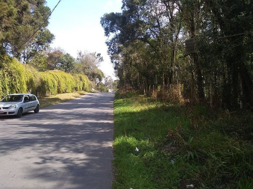 Imagem 5 de 5 de Terreno À Venda, 4180 M² Por R$ 1.000.000,00 - Abranches - Curitiba/pr - Te0125