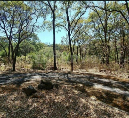 Imagen 3 de 30 de Terreno Venta En La Reserva De Los Encinos, El Arenal, Jalisco.