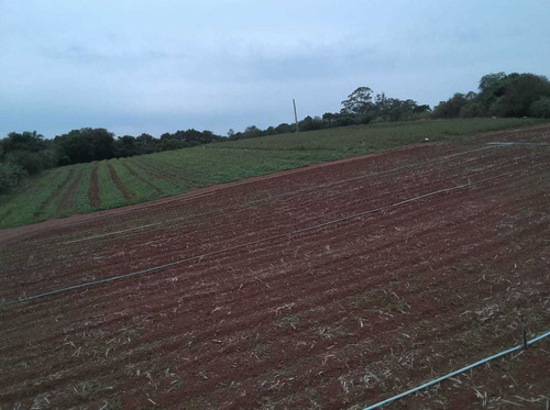 Imagem 6 de 14 de N31- Atibaia Terrenos Plano