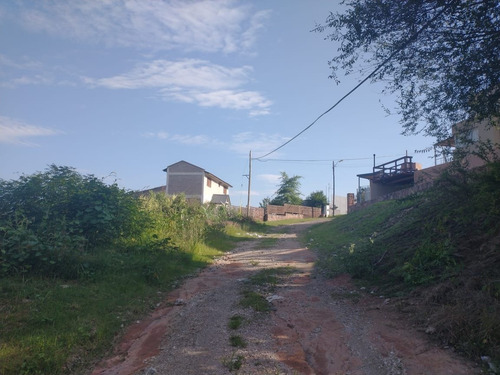 Imagen 9 de 10 de Lote Vista Al Lago - Se Financia El 50% Sin Interés