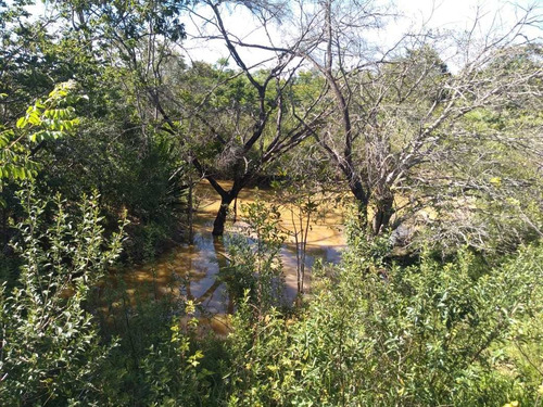 Imagem 7 de 19 de Fazenda Para Comprar No Fazenda Minama Em Santana De Pirapama/mg - 1731