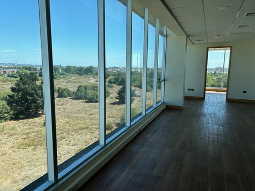 Oficinas Disponibles Desde 65 Mts A 1200 Mts