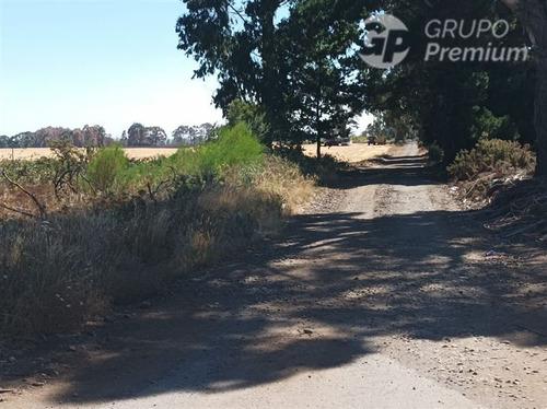Imagen 16 de 17 de Terreno Agrícola En Venta En Victoria