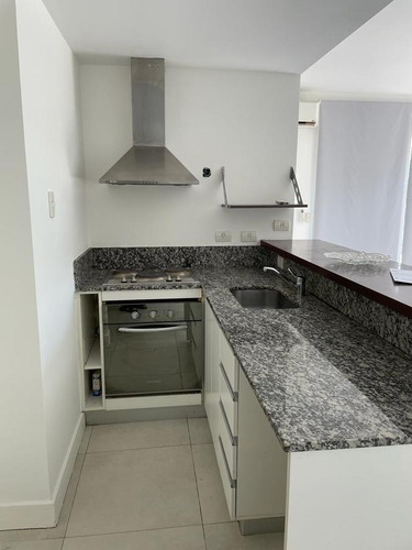 Imagen 12 de 17 de Departamento - Tigre