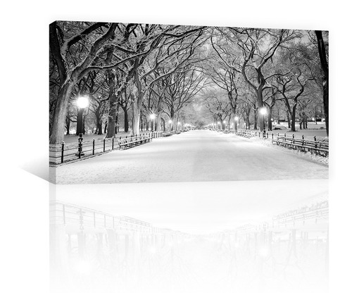 Cuadro Decorativo Nueva York Canvas Invierno Central Park  