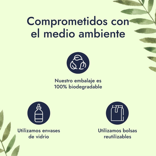 Imagen 3 de 4 de Cosgard Geogard 221 Conservador Natural Cosméticos Bio 100ml