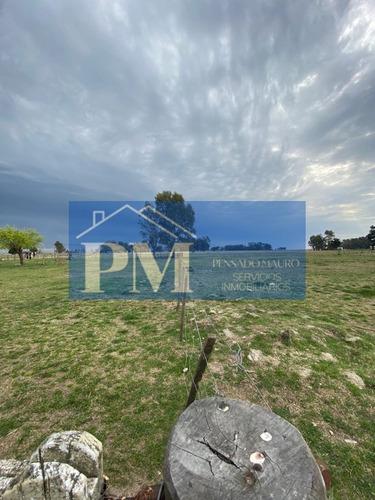Terreno Es Venta, Crotto