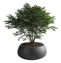 Comprar Maceta Amalfi Batea N70 70cm Plástico 53l Redonda Macetas
