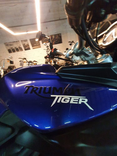 Imagem 9 de 14 de Triumph Tiger