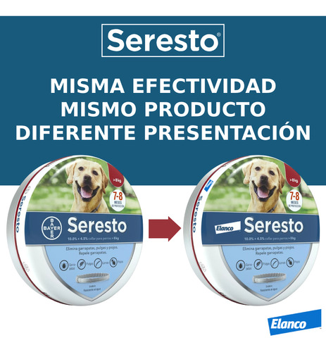 Collar Grande Para Perro Mascotas De Más De 8kg Gris Gr Gris Grande L
