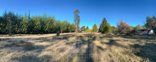 Arriendo Sitio Urbano Comercial 5.000 M2 Sector Patagual