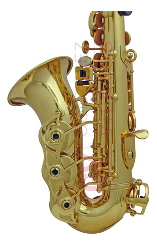 Saxo Soprano Curvo Lincoln Lcss-656 Deluxe