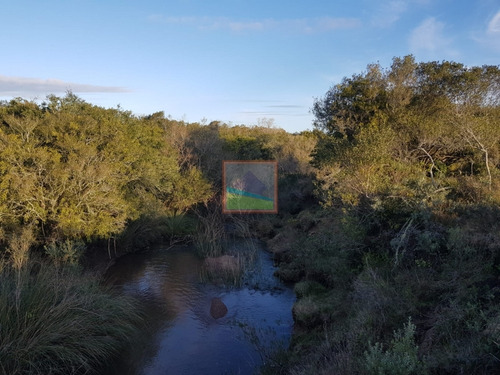 Imagen 8 de 14 de Campo 31 Hás Garzón Bajo