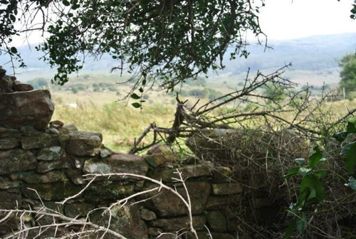 Mieres Vende Campo , Maldonado. Fracción De 41,5 Hectáreas