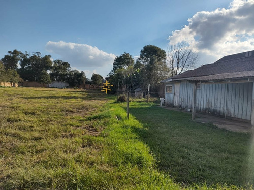 Imagem 5 de 13 de Terreno Para Aluguel Em Uberaba Curitiba-pr - 7340