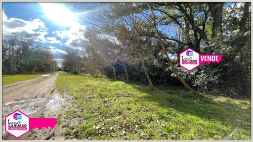 Terreno - Lote En Venta Zona Casas Quintas