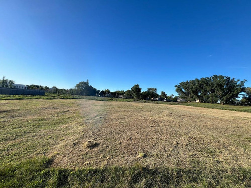 Lote 19 - José Maria Paz E/ Los Tilos Y Los Aromos