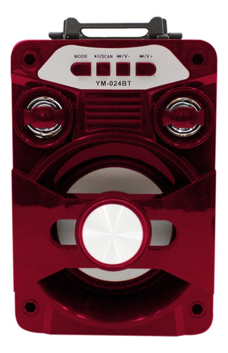 Bocina Bluetooth Recargable Radio Luz Led + Control Remoto