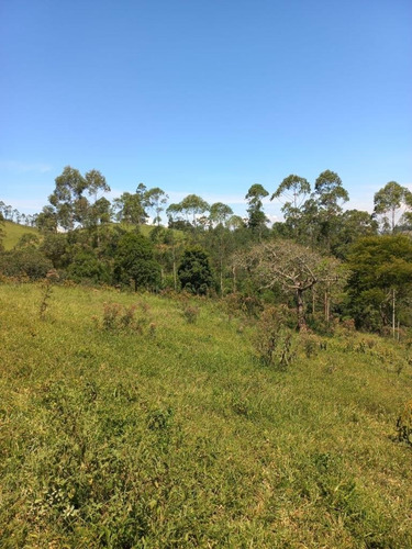 Imagem 1 de 28 de G30- Terrenos Em Igaratá Com Um Preço Acessível
