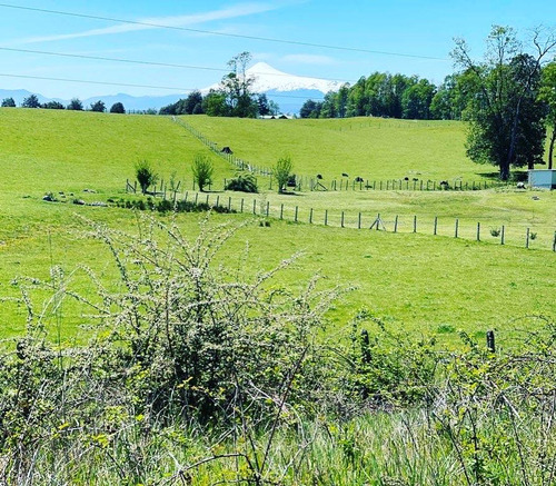 Preciosa Parcela 5000 M2 Con Vista Al Volcán Villarrica