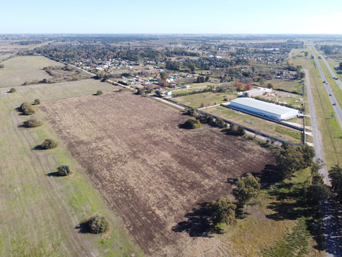 Venta - Campo - 9,2has - Zarate - Logistico/residencial
