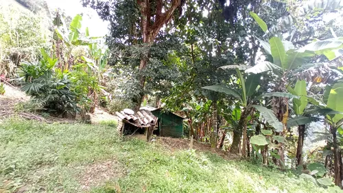 Venta Finca En La Montaña Cerca Al Lago Calima