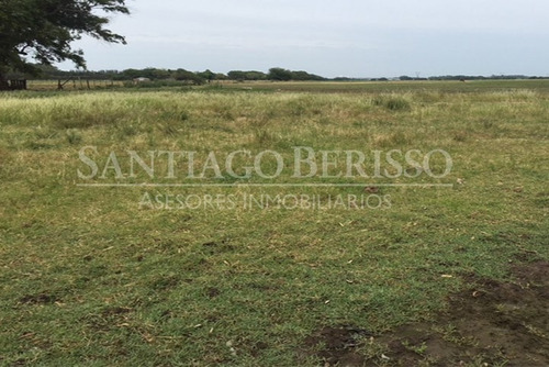 Imagen 3 de 4 de Terreno Fraccion En Venta Ubicado En Zárate, G.b.a. Zona Norte