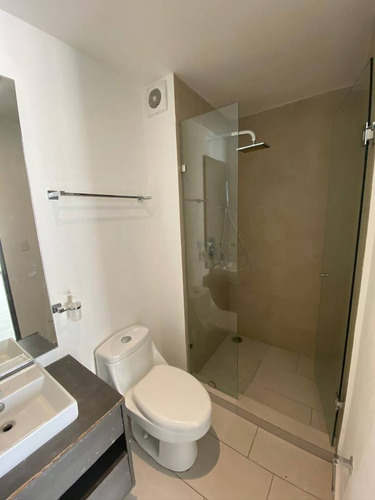 Imagen 10 de 12 de Departamento En Renta En Col Anahuac, 60139