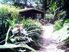 Casa Com 4 Dormitórios À Venda, 435 M² Por R$ 1.200.000,00 - Granja Viana - Carapicuíba/sp - Ca6494
