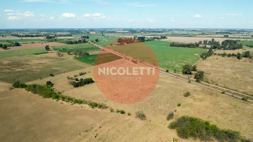 Imagen 5 de 21 de Campo - Chacra De 13,7 Has | Gowland | Mercedes