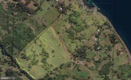 Parcelas Con Vista Y Acceso Al Lago Ranco