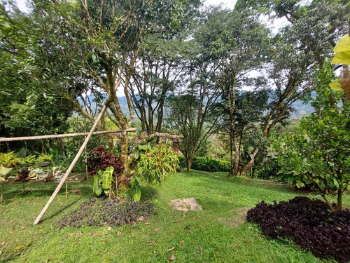 Imagen 19 de 29 de Bajó De Precio - Venta De Finca En La Parcelación Estación Popalito - Barbosa Antioquia