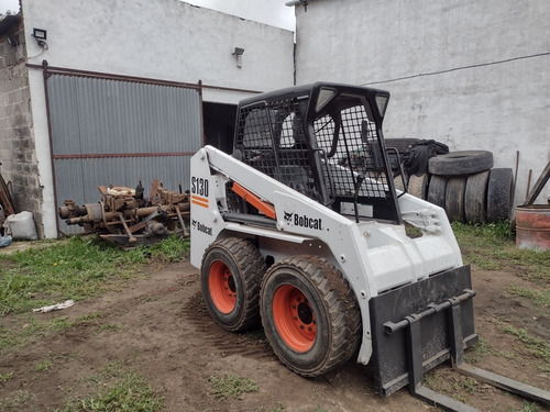 Bobcat