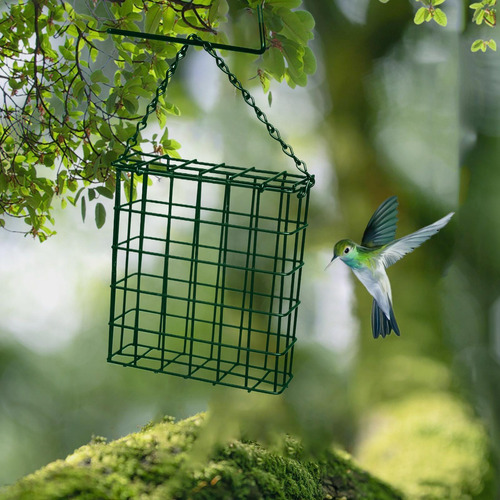 Comedero Para Pájaros Con Bola De Sebo Comedero Para Pájaros