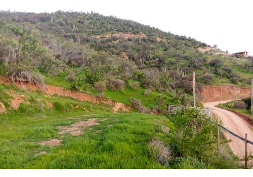 Excelente Parcela En Venta En Lliu Lliu