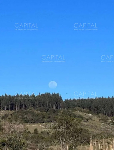 Campo Garzón Ganadero Forestal