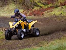 Can Am Ds 250 0km Automoto Lanus