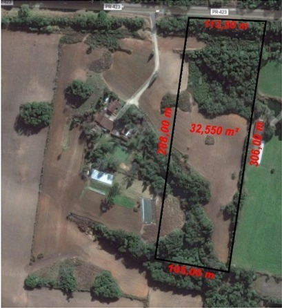 Imagem 4 de 16 de Área Industrial A Venda Em Araucária Pr - Te00004 - 68900873