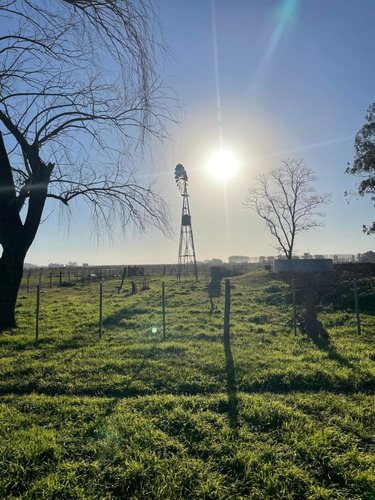 18 Hectareas En San Miguel Del Monte