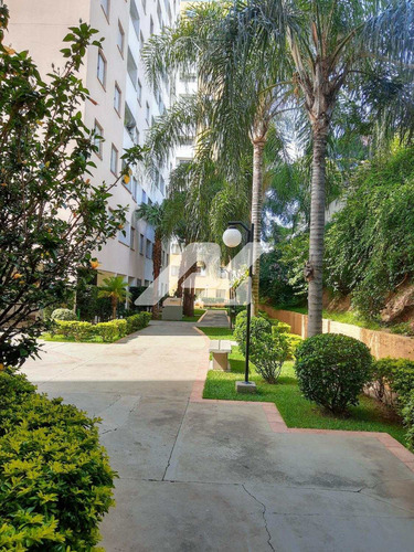 Imagem 24 de 28 de Apartamento Á Venda E Para Aluguel Em Jardim Dom Vieira - Ap010649