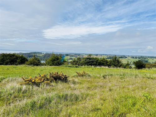 Parcelas En Venta Con Vista Al Lago Y Volcanes En Frutillar