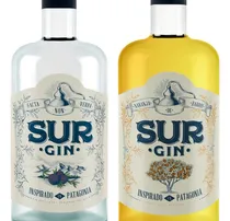 Comprar Gin Gin Sur Gin Sur 750 mL