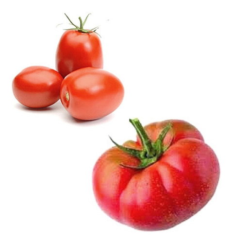 Imagen 1 de 3 de Combo Semillas Tomates Perita Y Platense 80 Semillas Premium