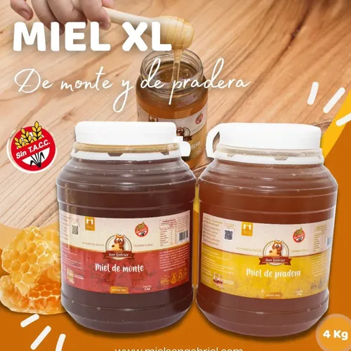 Miel De Monte Pura 4kg Sin Gluten | Natural Y Agroecológica